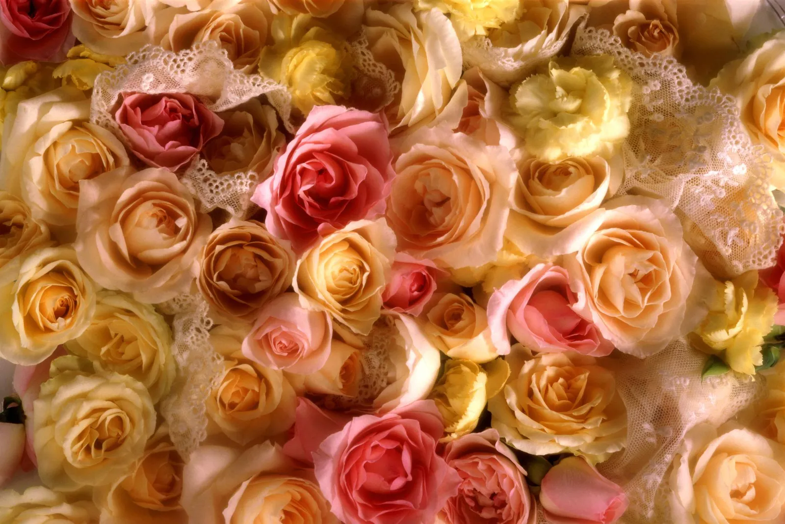 A close-up, overhead view of a bouquet of pink, peach, and yellow roses intertwined with delicate white lace.