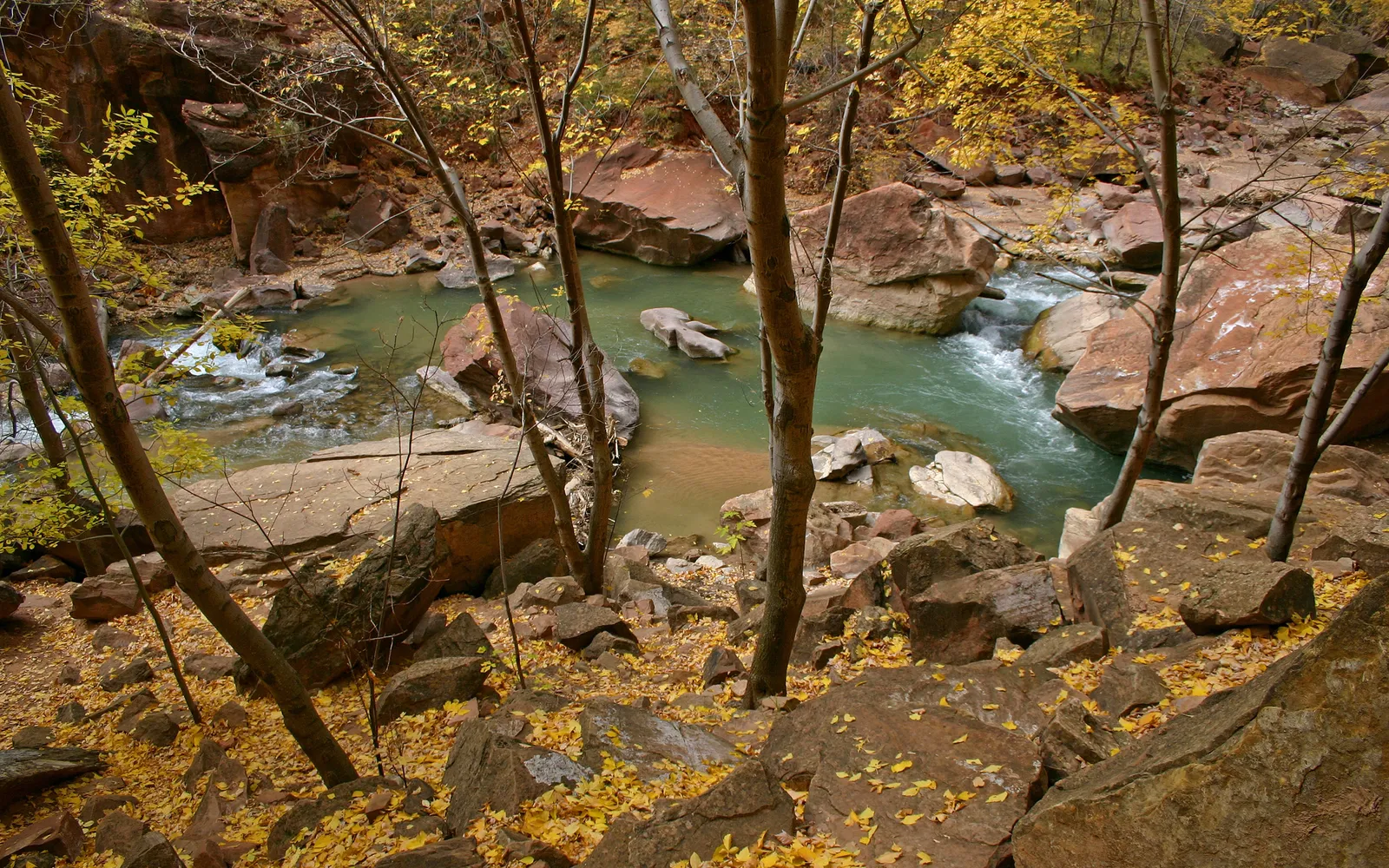 A river flows through a rugged canyon with autumn trees and fallen yellow leaves on rocks.