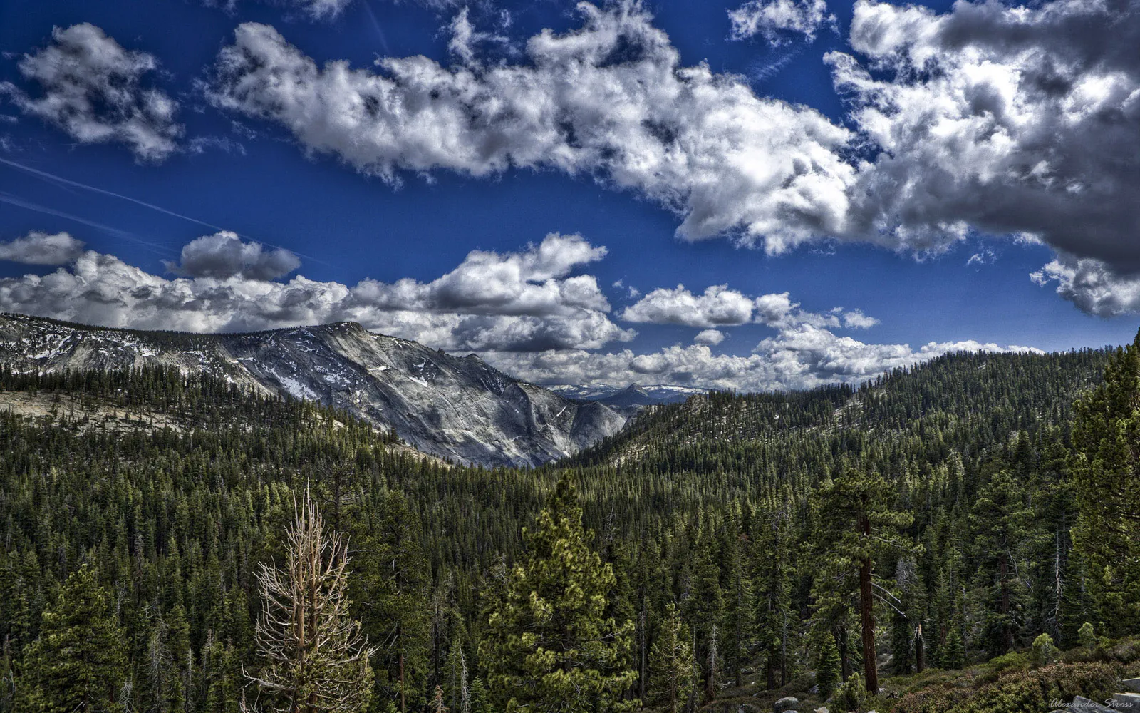 Sweeping vista of rugged mountains and dense pine forests under a vibrant blue sky with dramatic clouds.