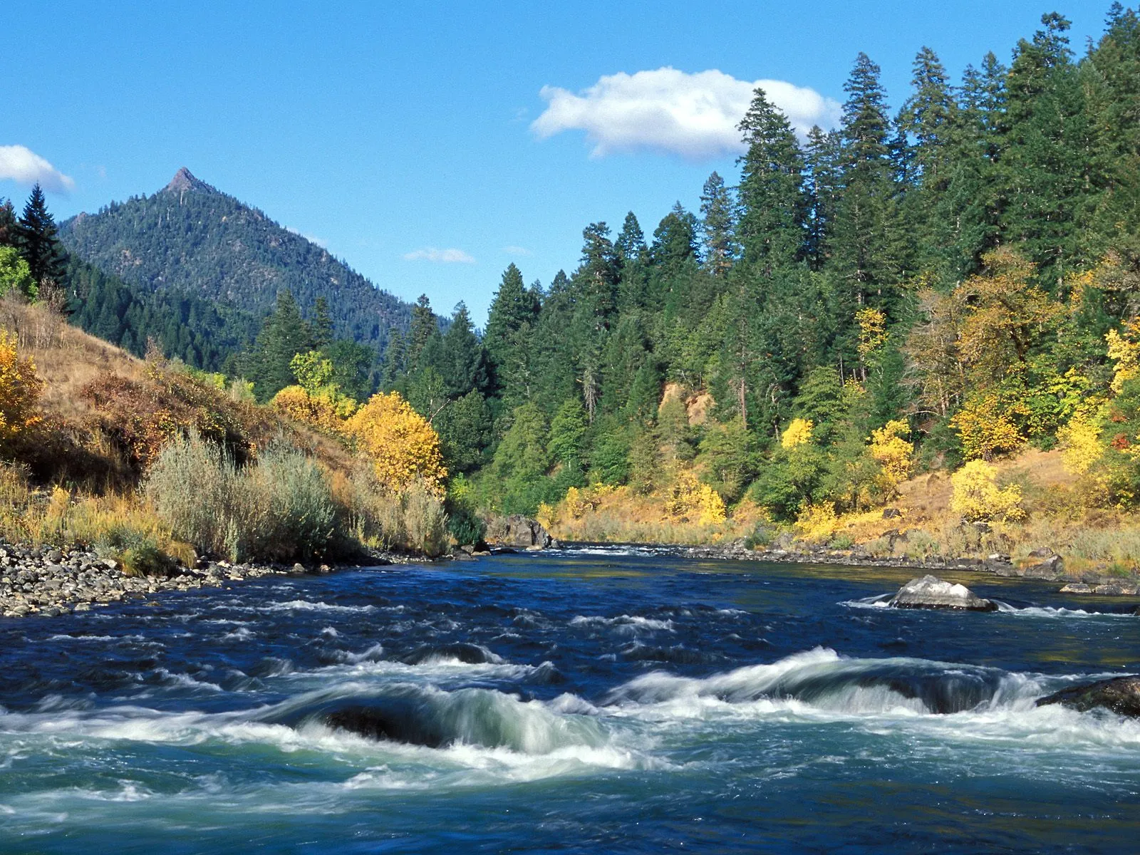 A wide, fast-flowing river with white rapids, bordered by trees with autumn colors and a distant mountain.