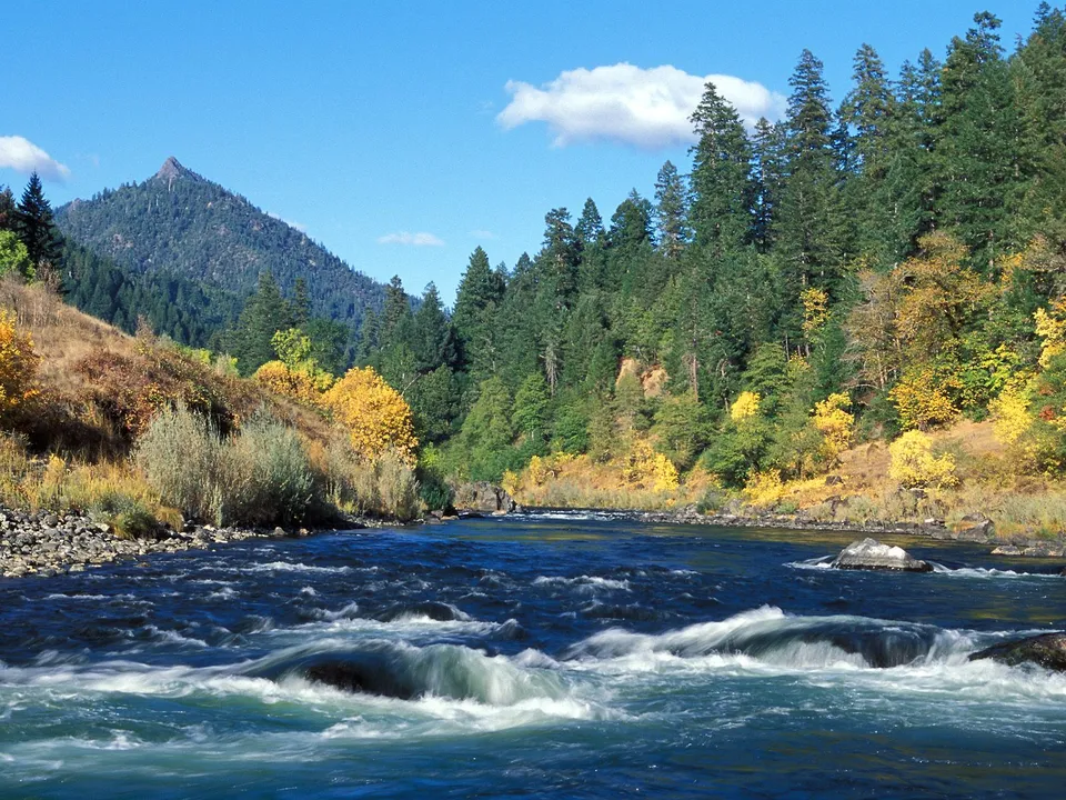 A wide, fast-flowing river with white rapids, bordered by trees with autumn colors and a distant mountain.