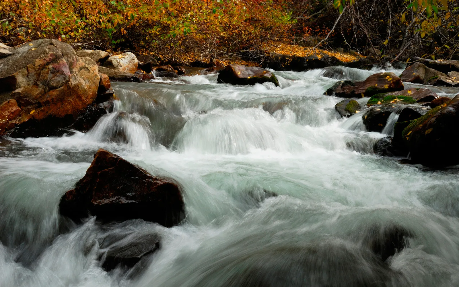 A fast-flowing river with white water rushes over dark rocks, with colorful autumn foliage in the background.