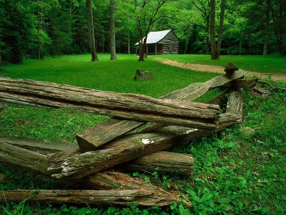 A rustic log cabin sits in a clearing surrounded by dense green forest, with a wooden fence in the foreground.