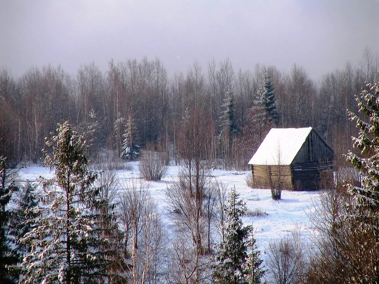 A rustic log cabin is surrounded by a snowy forest under an overcast sky.