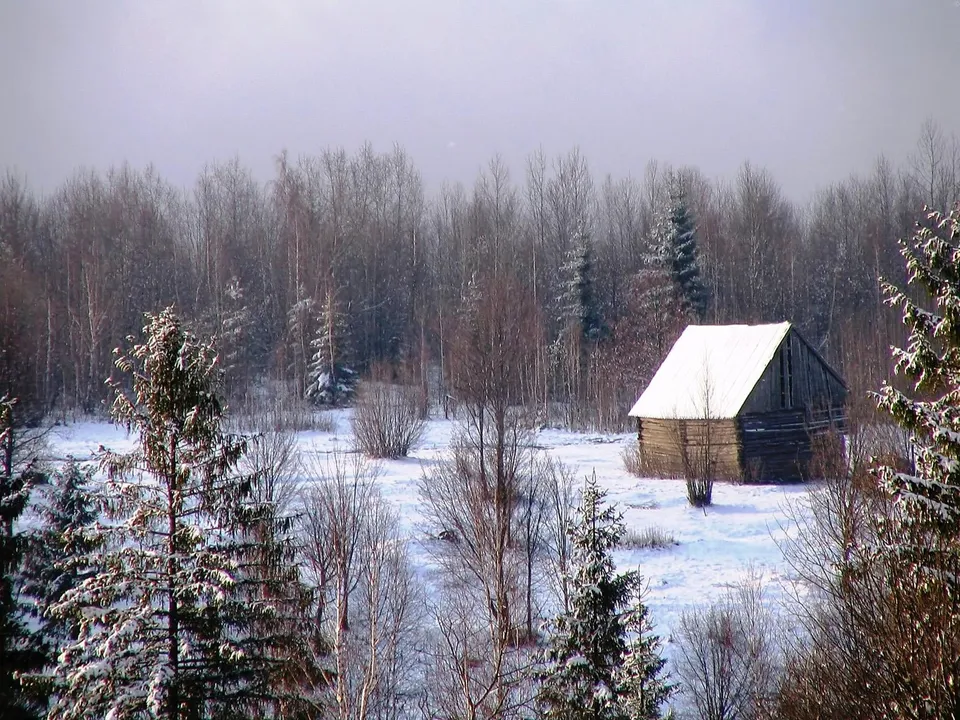 A rustic log cabin is surrounded by a snowy forest under an overcast sky.