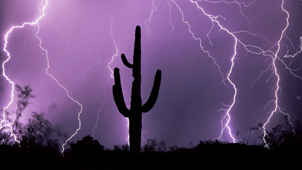 A silhouetted saguaro cactus stands against a sky filled with purple lightning.