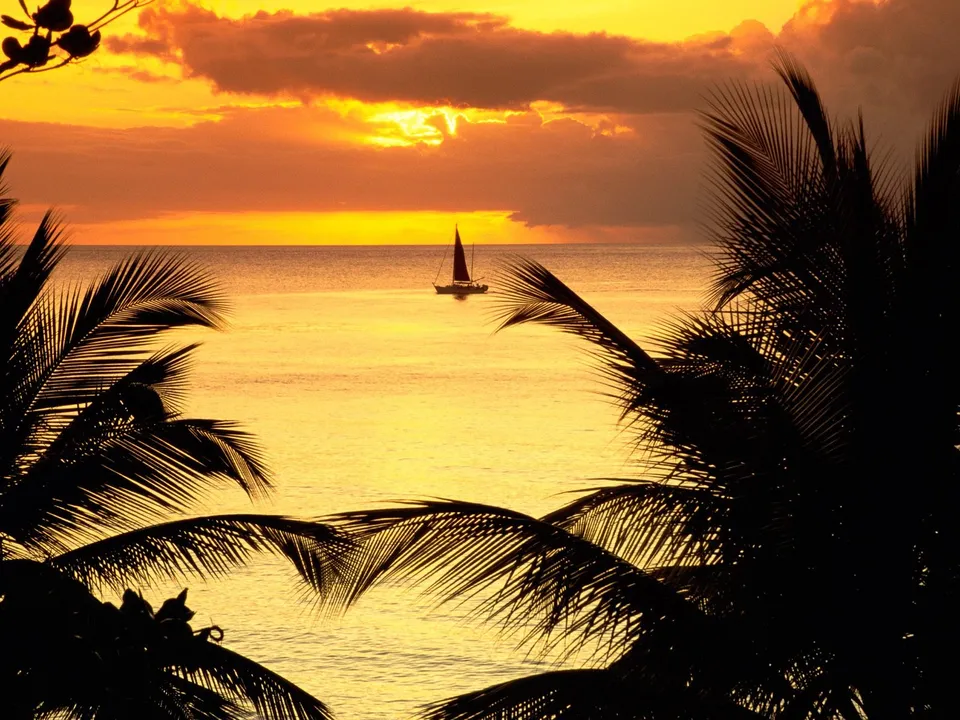 A sailboat glides across the ocean during a golden tropical sunset, framed by palm trees.