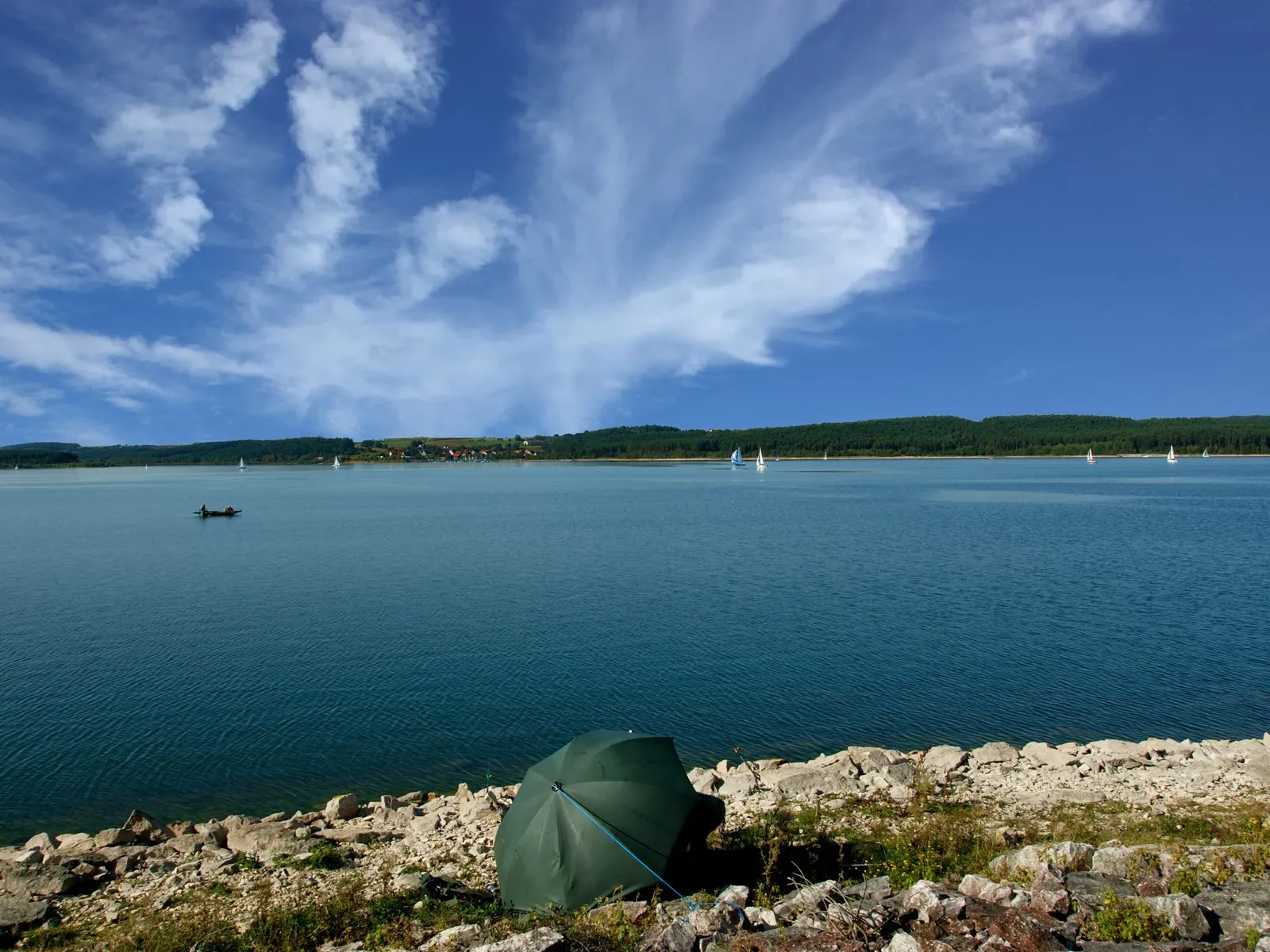 Sailboats dot a wide blue lake with a rocky shore in the foreground and a tree-lined horizon under a sky with wispy clouds.