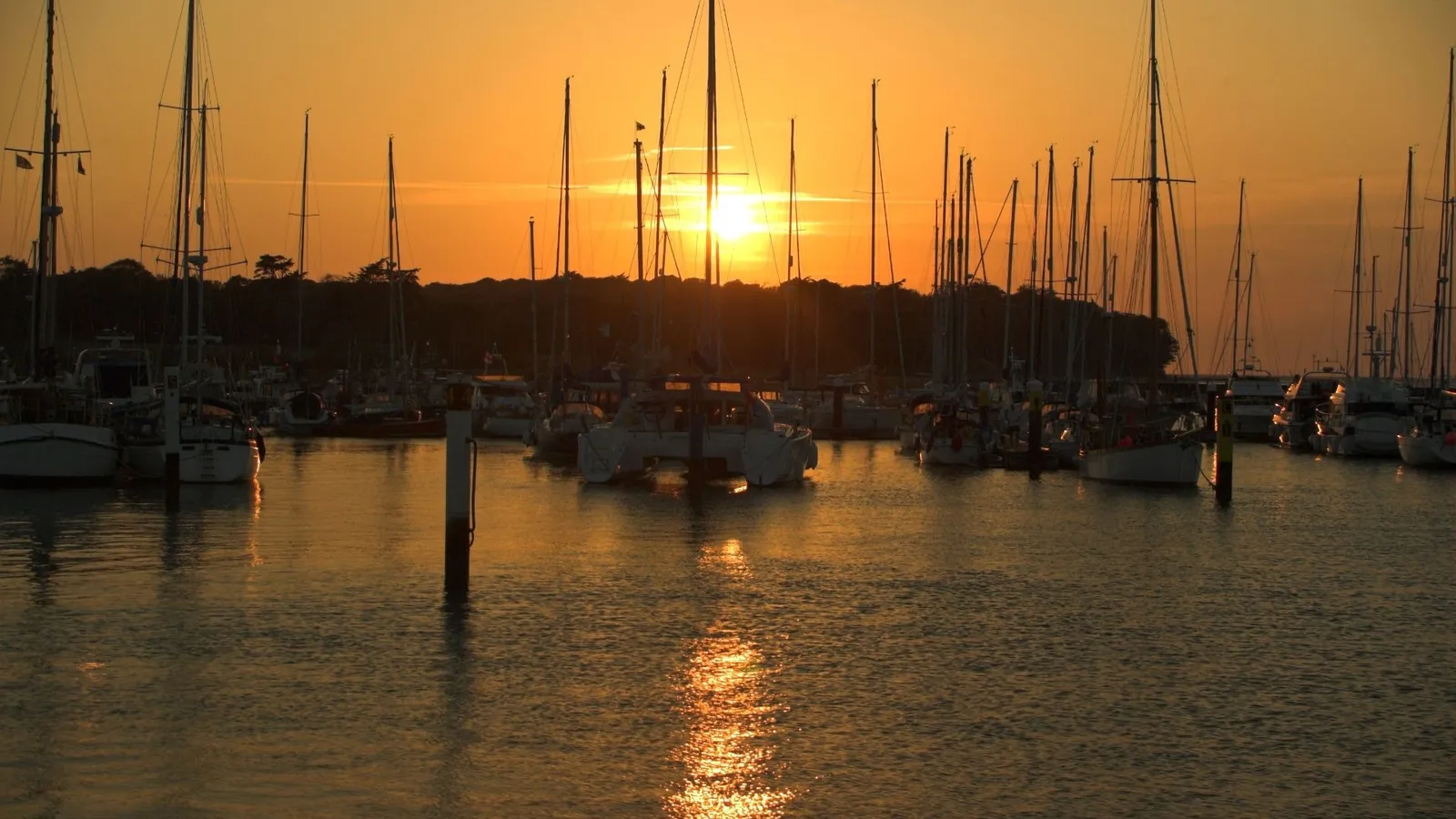 Numerous sailboats are docked in a harbor, silhouetted against a bright orange sunset sky.