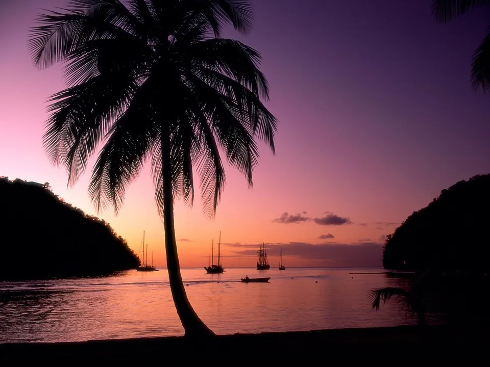 Silhouetted palm trees and hills frame a bay with sailboats during a vibrant purple and pink sunset.