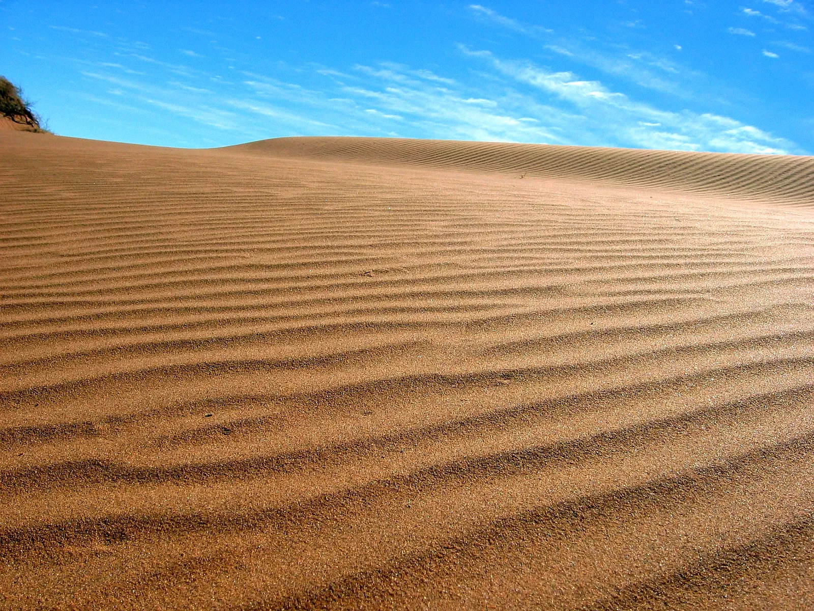 Close-up view of sand dunes with intricate ripple patterns under a clear blue sky with wispy clouds.