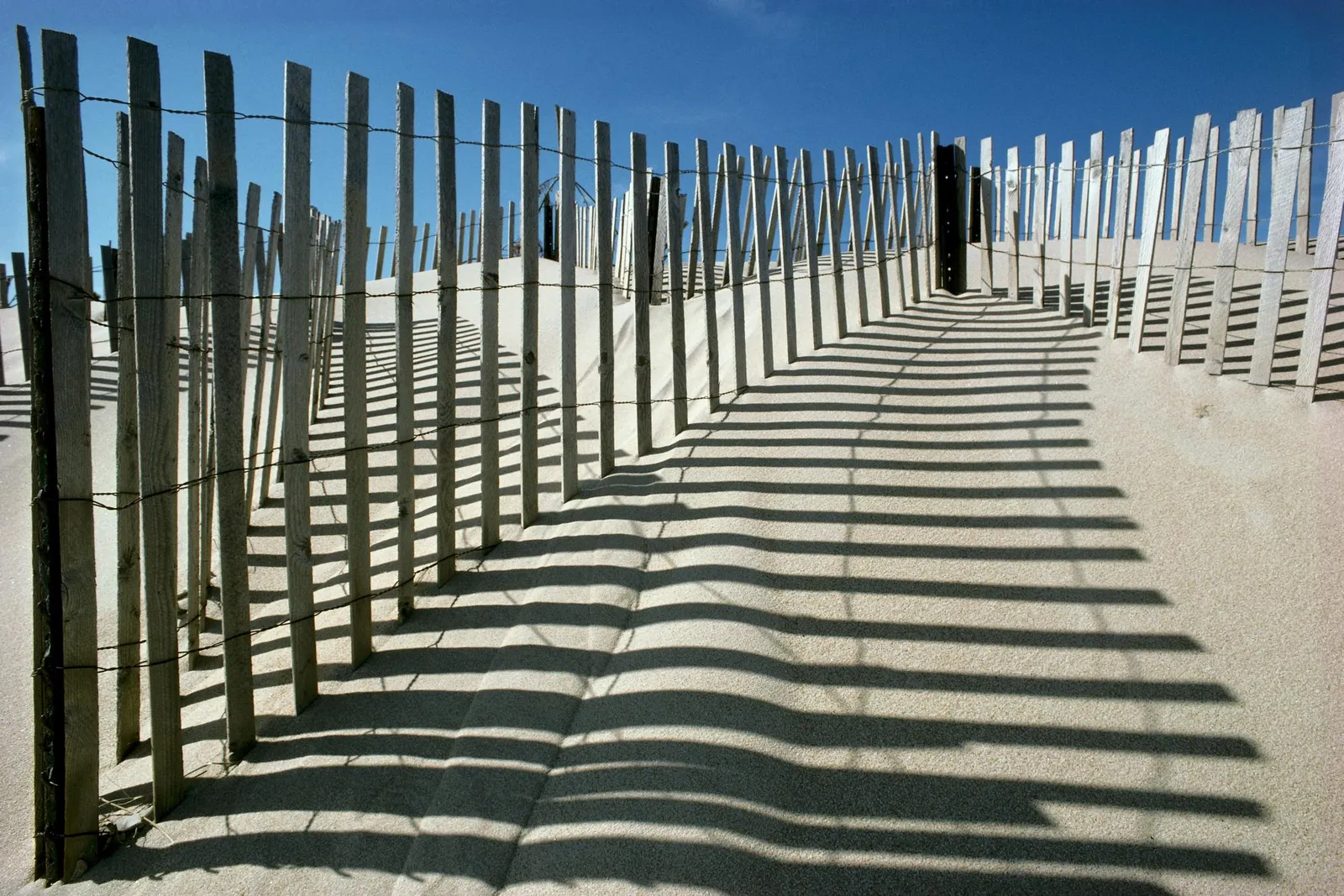 A wooden sand fence casts long, striped shadows across a sandy dune under a clear blue sky.