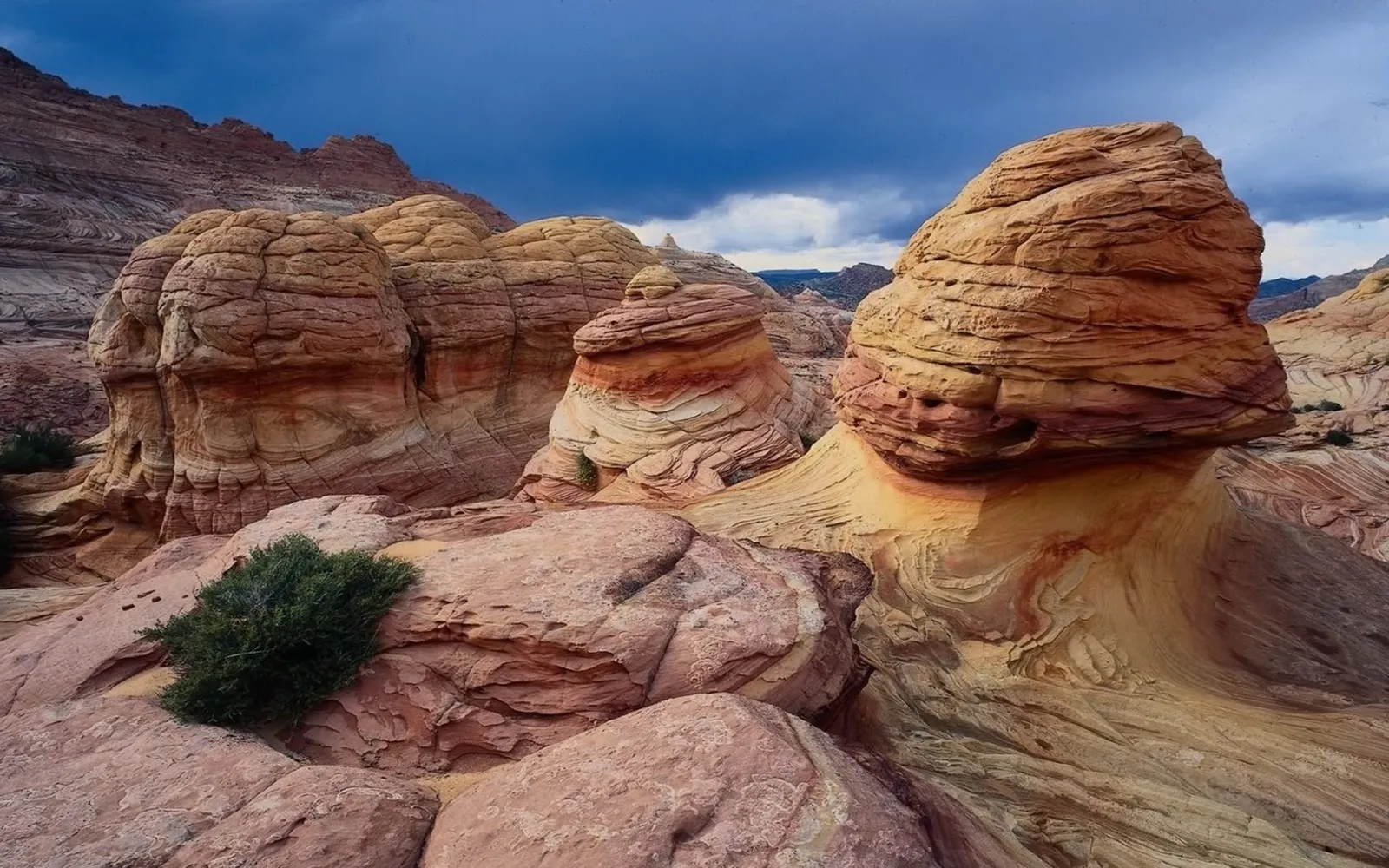 Unique sandstone rock formations with swirling patterns under a dark, cloudy sky.