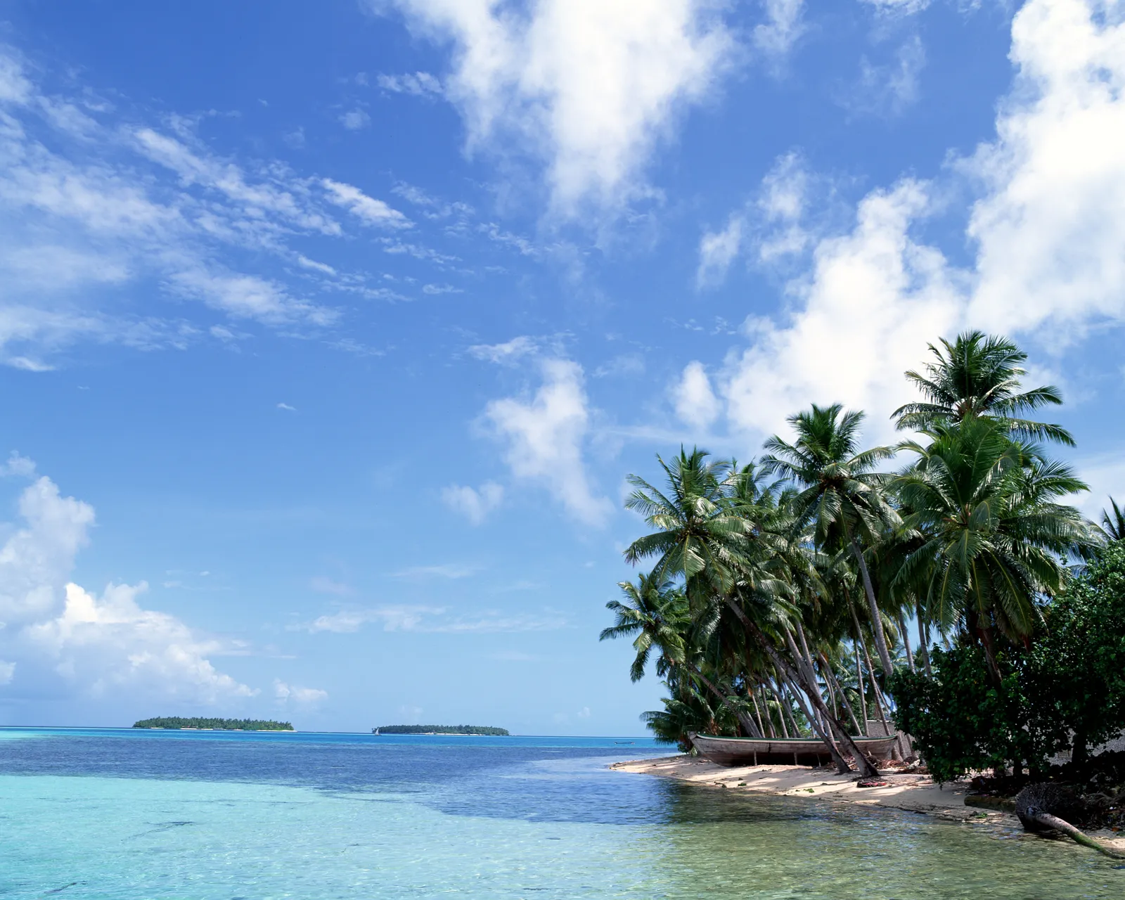 Lush palm trees lean over a sandy shore with a weathered boat, next to clear turquoise water.