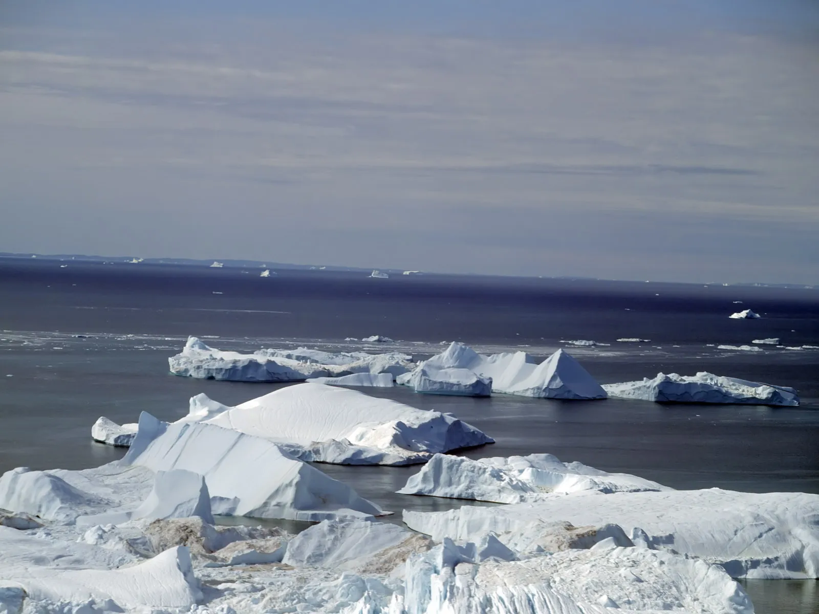 Numerous icebergs of various sizes are scattered across the dark ocean under a cloudy sky.