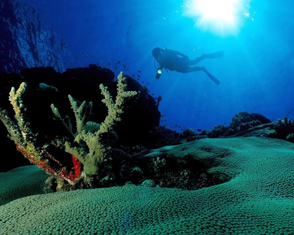 A scuba diver swims in the deep blue ocean, illuminated by sun rays filtering through the water above a vibrant coral reef.