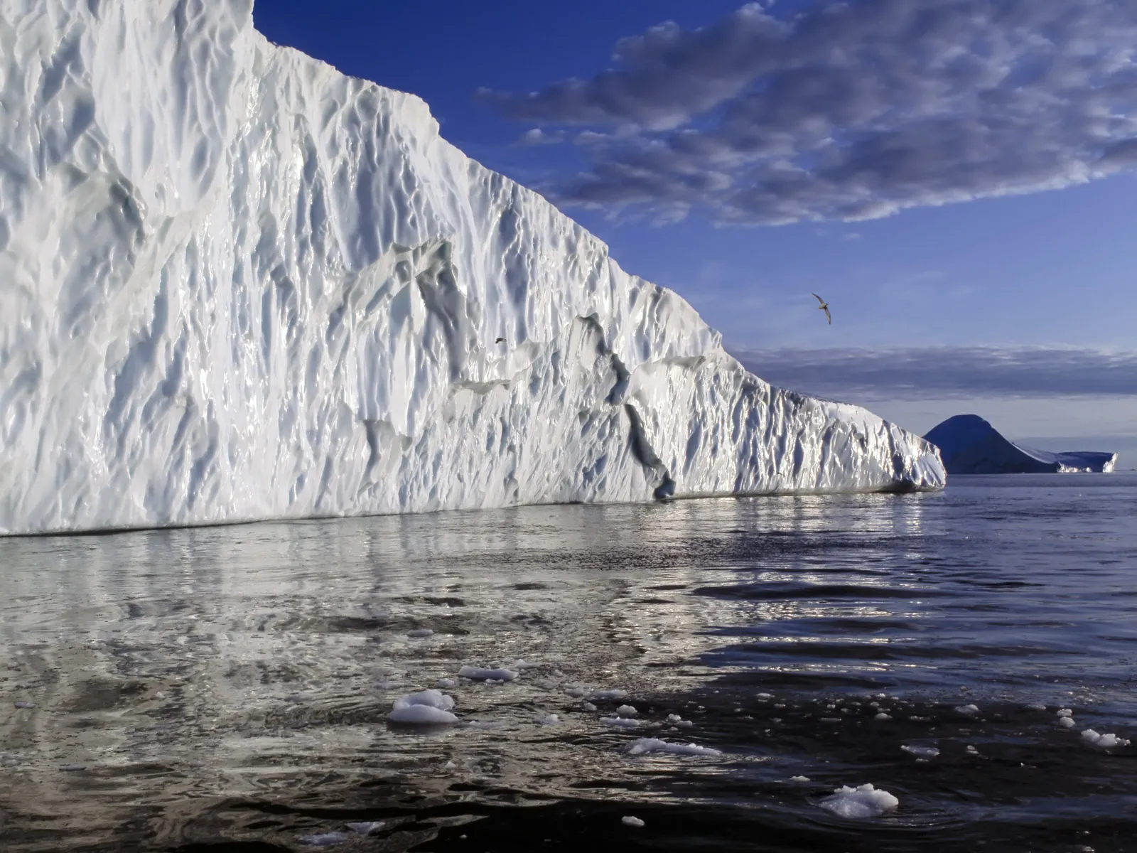 A textured iceberg reflects in rippling water under a blue sky with clouds, and a bird soars above.