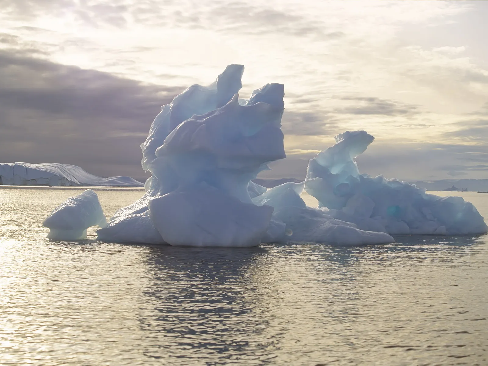 Intricately shaped icebergs drift in calm water, illuminated by soft, diffused light from a cloudy sky.
