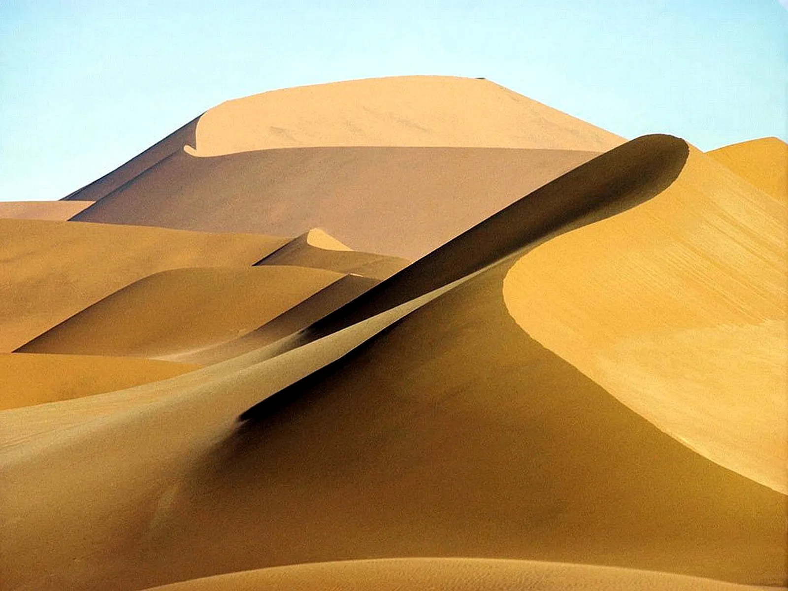 Undulating sand dunes with deep shadows cast by the morning sun.