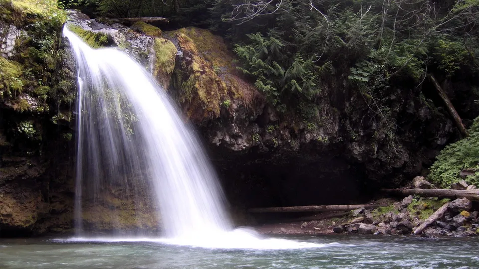 A waterfall plunges into a dark pool surrounded by a dense, green forest and mossy rocks.