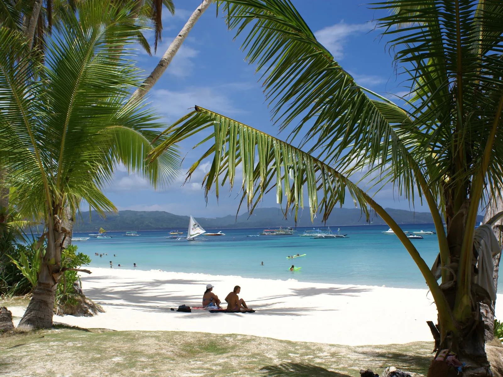 A tropical beach scene with palm trees, white sand, and lounge chairs.
