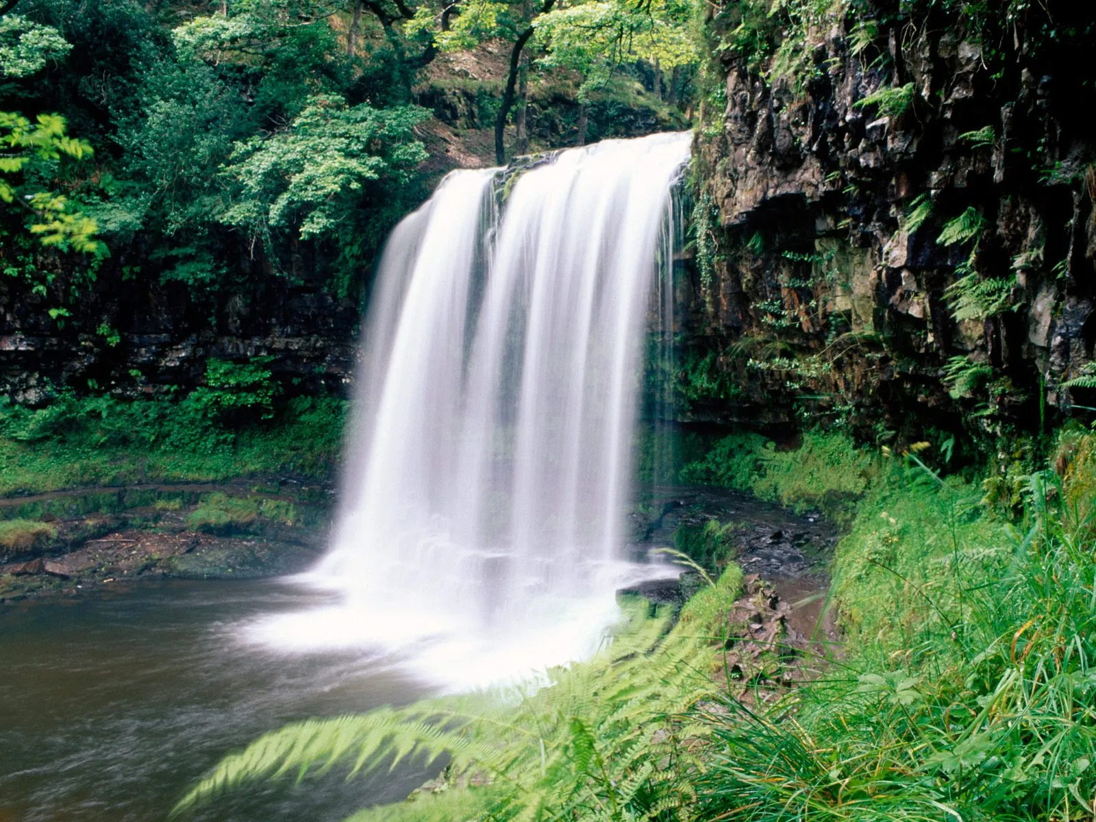 A waterfall plunges into a dark pool surrounded by vibrant green vegetation and moss-covered rocks.