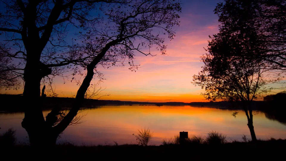 Silhouetted trees frame a vibrant sunset over a calm lake, with the sky's colors reflected in the water.