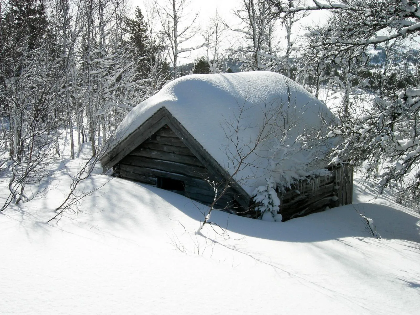 An old wooden cabin is covered in thick snow, nestled amongst snow-laden trees in a winter landscape.