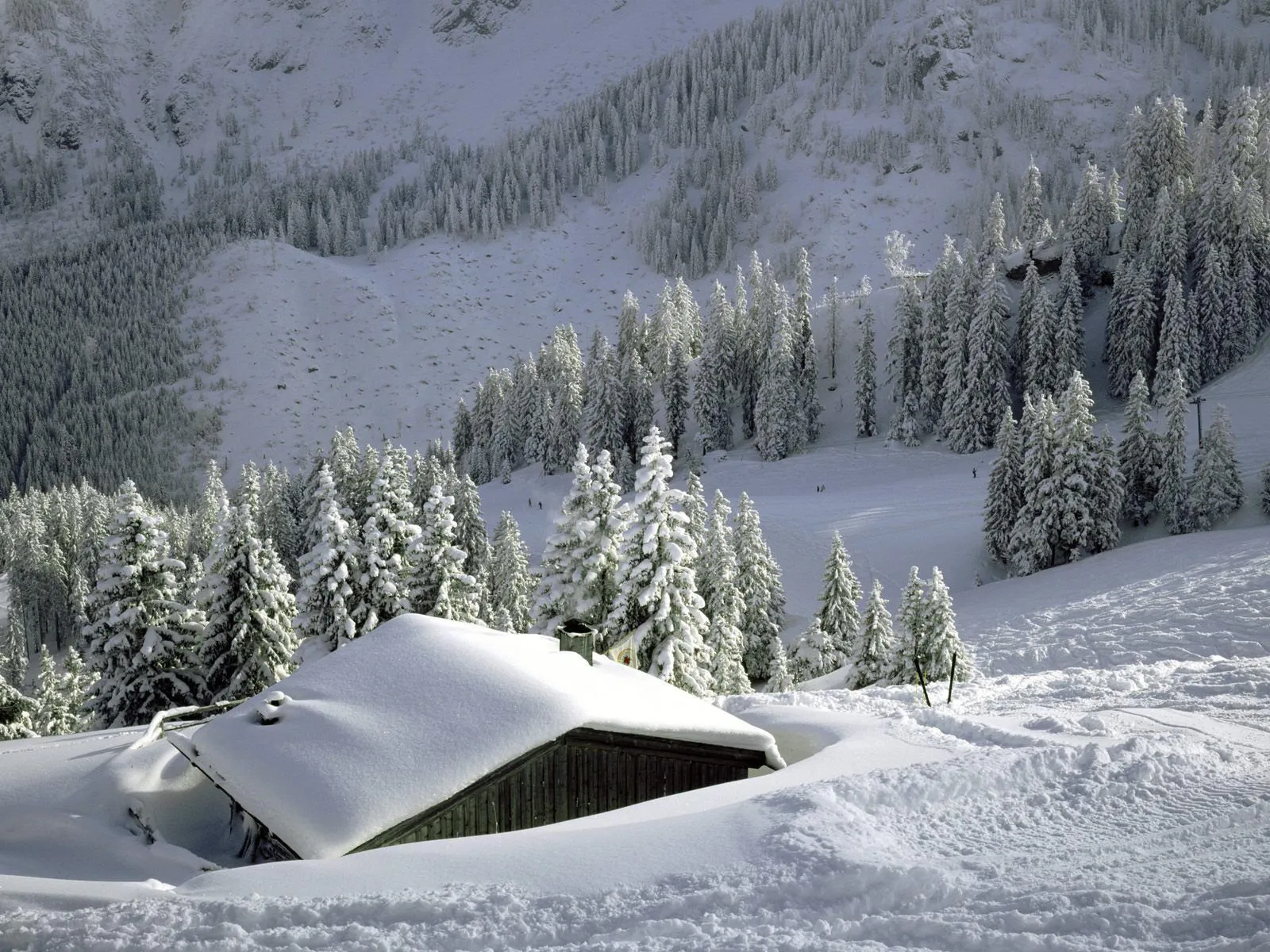 A small wooden cabin is almost completely buried in snow, with a backdrop of snow-covered pine trees and mountains.