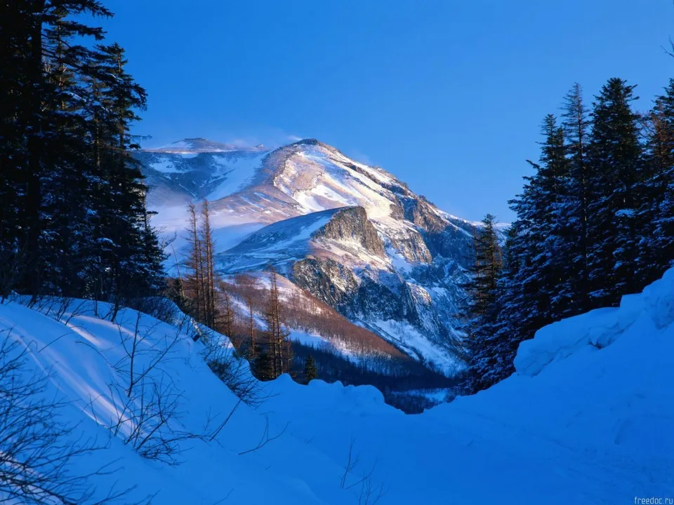 Snow-blanketed mountain peaks with sharp, sunlit ridges are framed by dense evergreen trees.