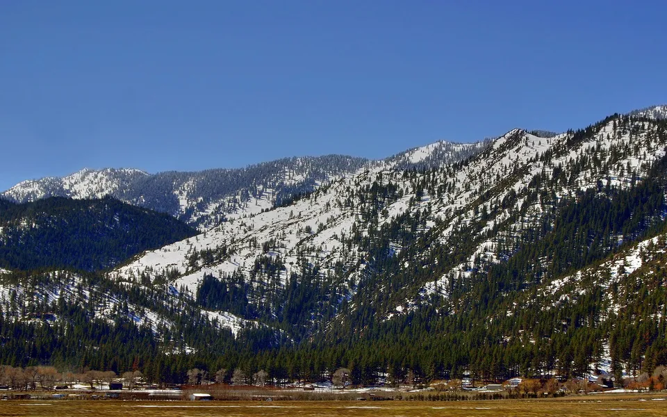 A vast mountain range with patches of snow and dense evergreen forests clinging to its slopes under a clear blue sky.
