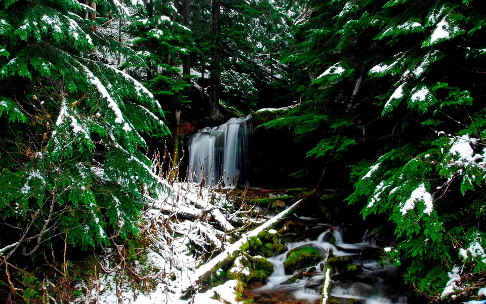 A waterfall cascades down rocks in a forest with snow on the evergreen trees.