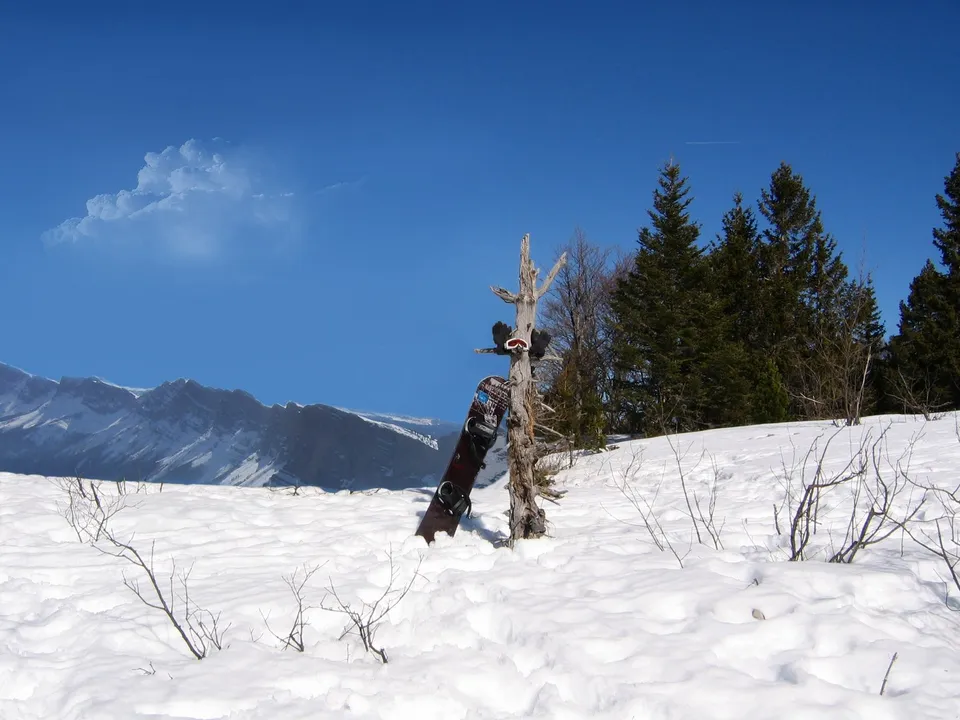 A snowboard is propped against a weathered tree trunk in a snow-covered landscape with mountains and pine trees in the background.