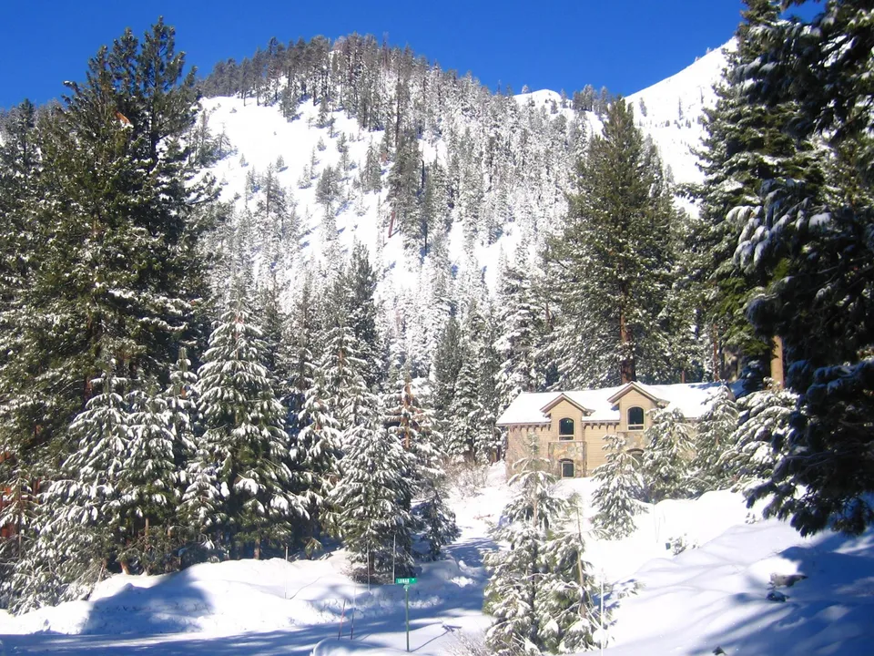 A stone cabin with arched windows sits surrounded by snow-covered pine trees and a mountain slope.