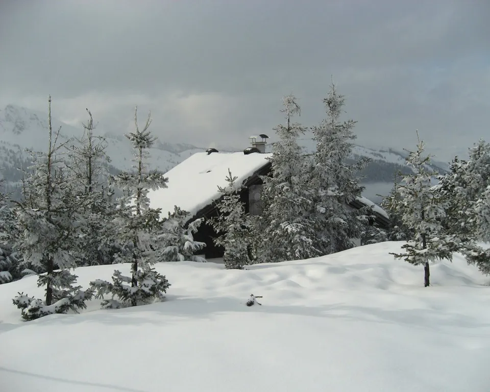A snow-covered cabin is surrounded by pine trees in a winter landscape.