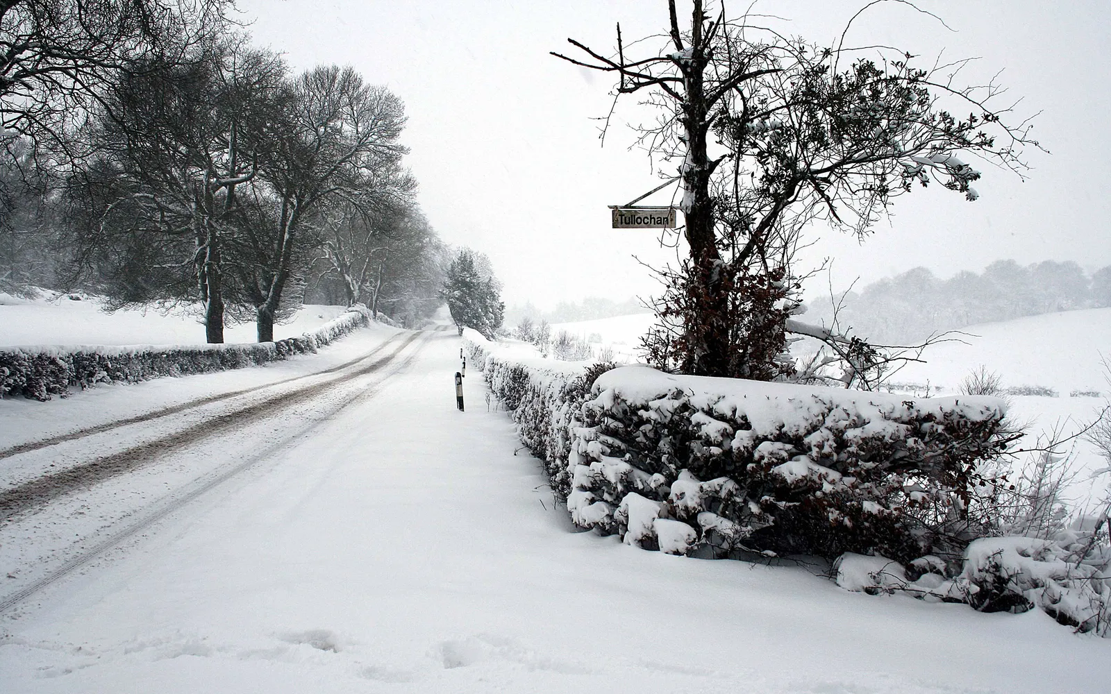 A snow-covered country road winds through a landscape with snow falling heavily.