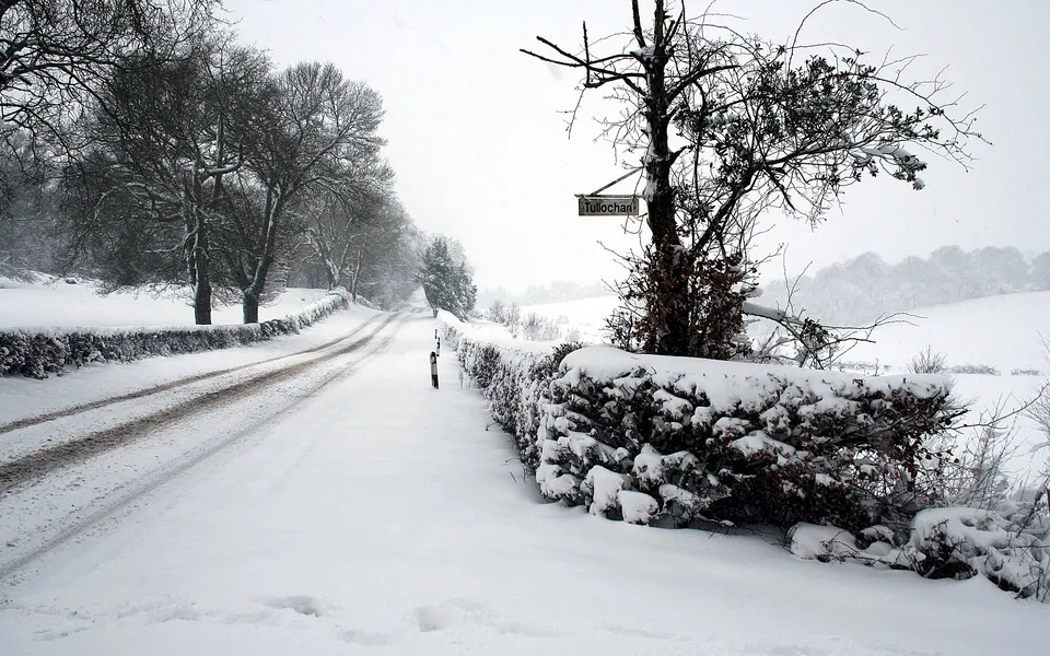 A snow-covered country road winds through a landscape with snow falling heavily.
