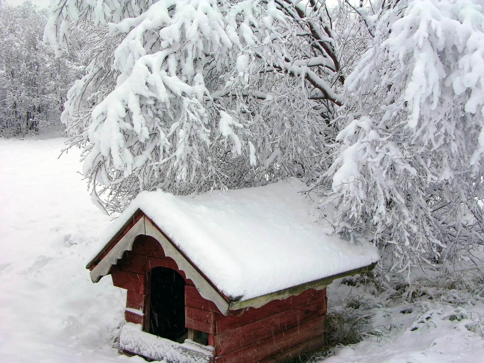 A small red doghouse sits in a snowy landscape, covered in thick snow, with snow-laden trees in the background.