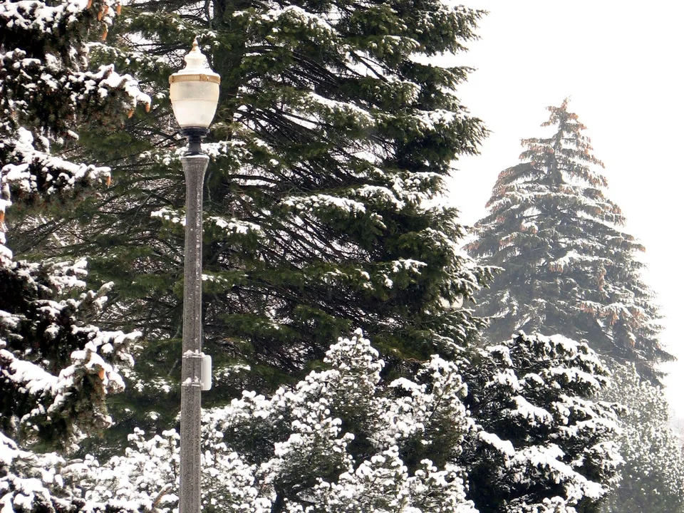A vintage lamp post stands among snow-covered evergreen trees on a bright, overcast day.