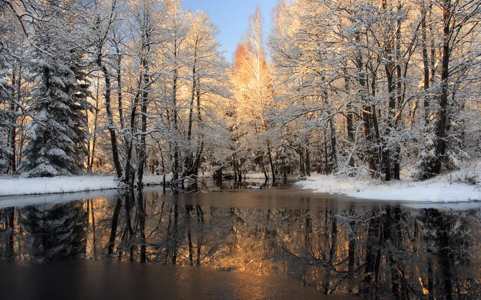 A serene winter scene with snow-covered trees reflected in a partially frozen river, bathed in warm sunlight.