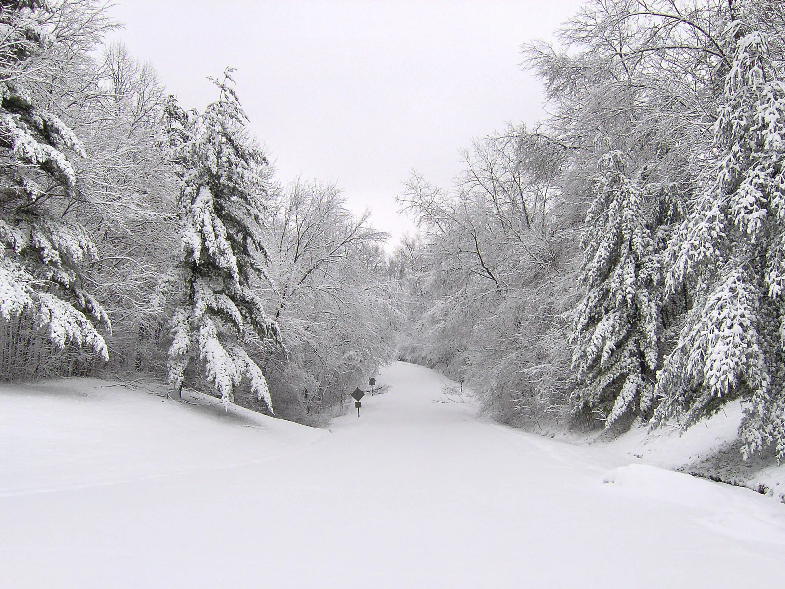 A snow-covered road winds through a forest with trees heavily laden with snow.