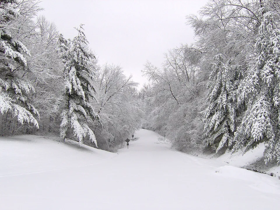 A snow-covered road winds through a forest with trees heavily laden with snow.