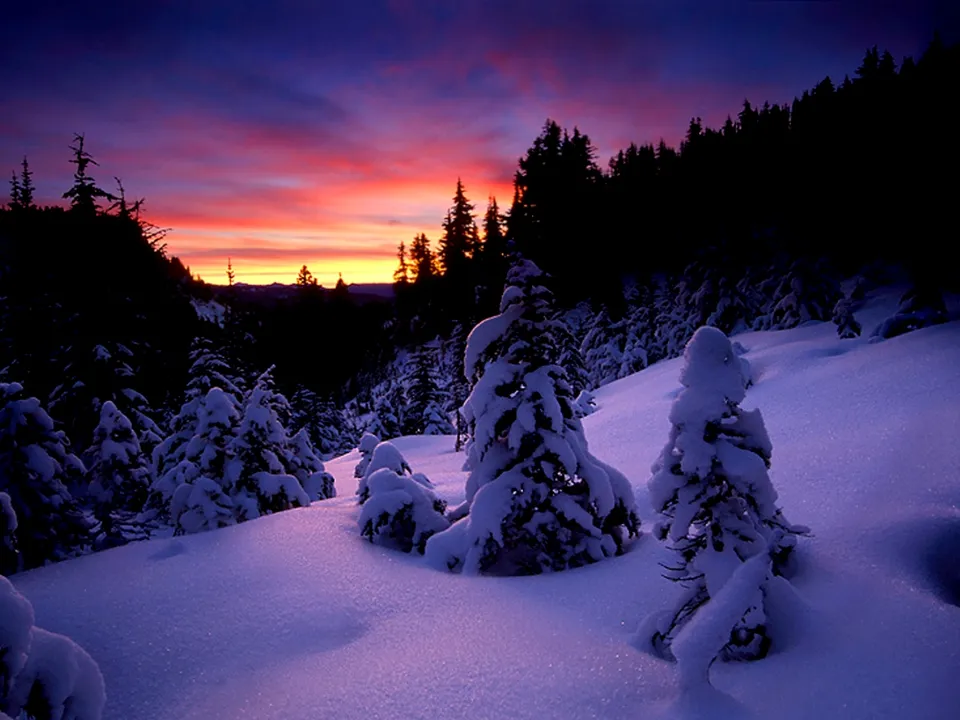 A vibrant sunset paints the sky with hues of orange, pink, and purple over a snow-covered forest.
