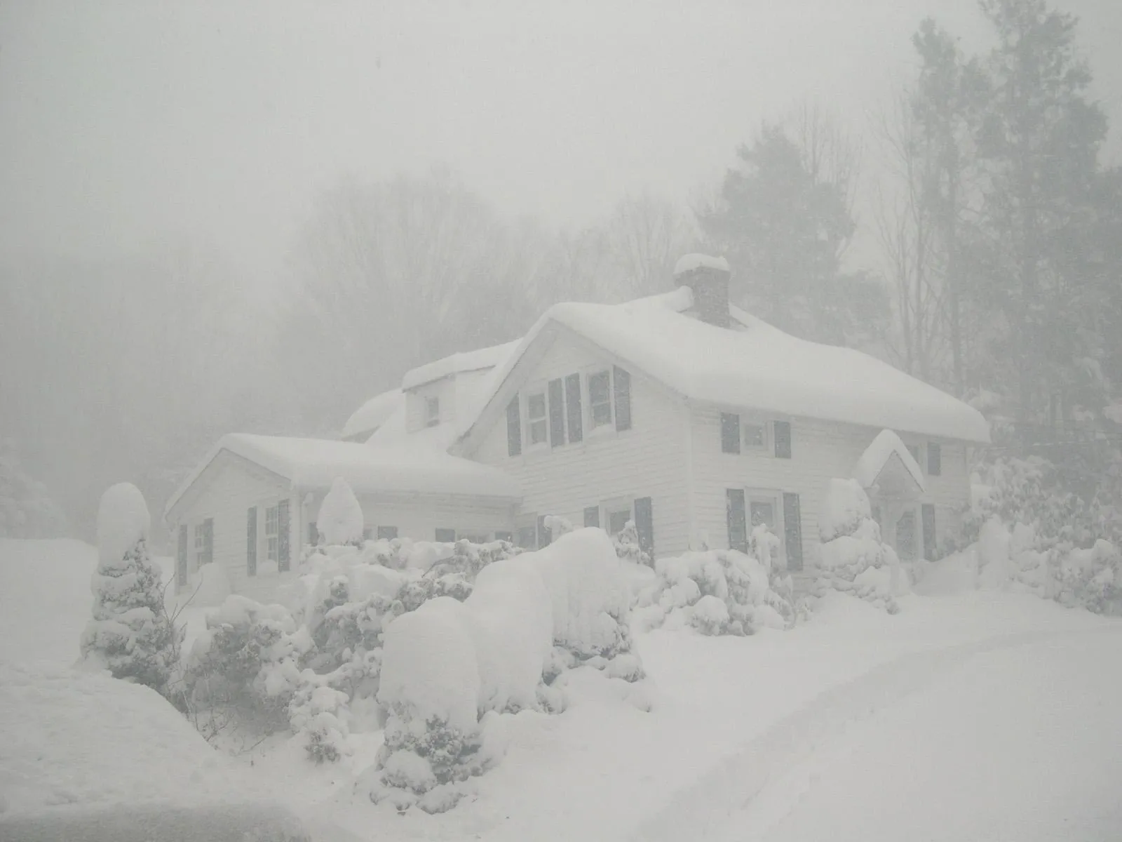 A white house is covered in deep snow during a blizzard, with snow-laden trees and bushes surrounding it.