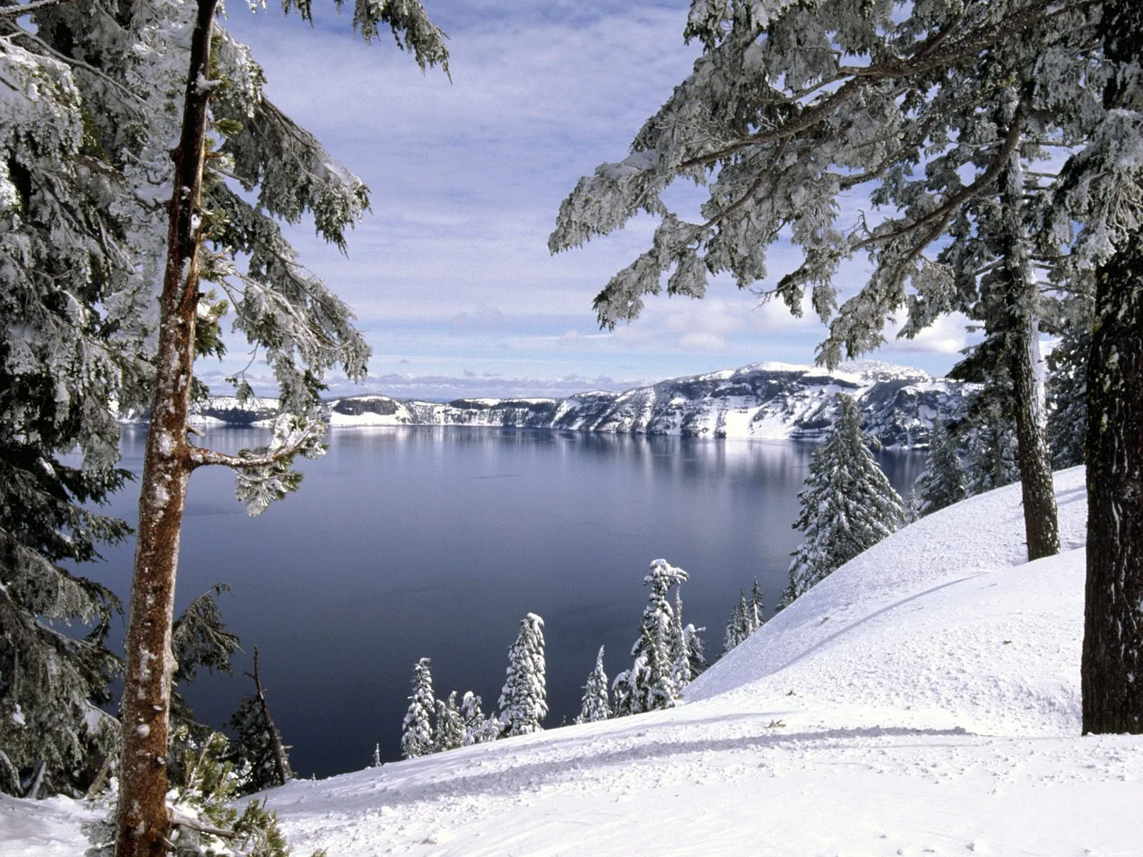 A serene winter scene with snow-covered pine trees framing a vast, calm lake and distant snow-capped mountains.