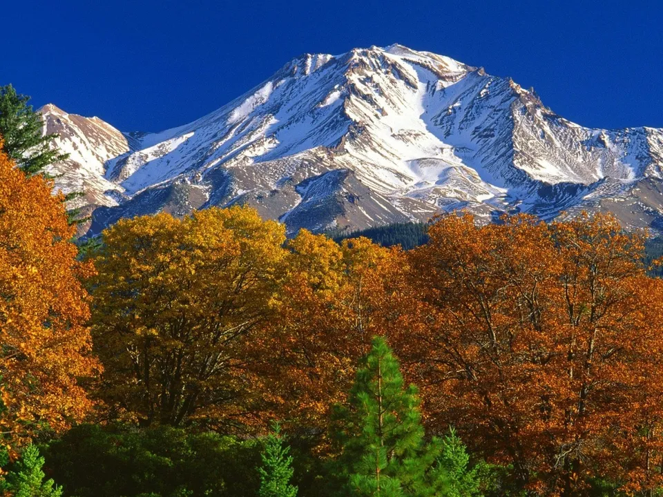 A snow-covered mountain peak rises above vibrant autumn foliage under a deep blue sky.