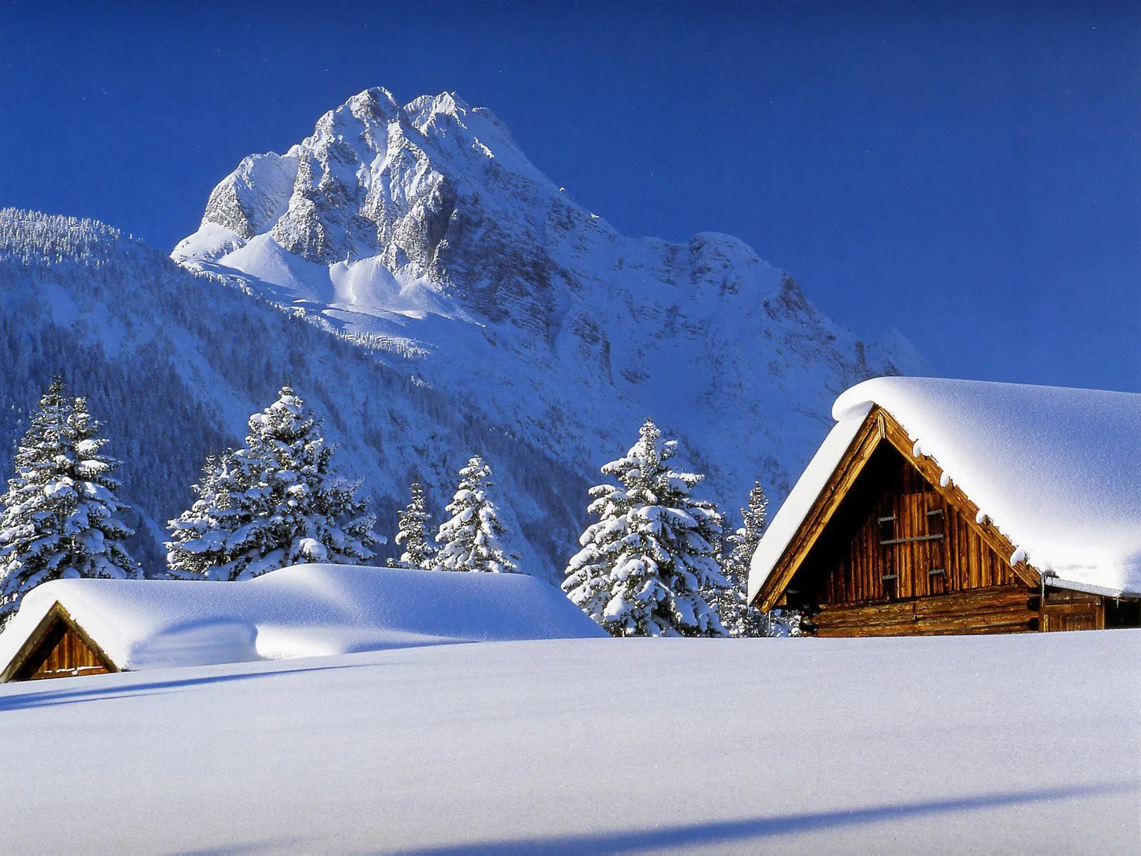 A wooden cabin and snow-covered pine trees in front of a large, snow-capped mountain under a clear blue sky.