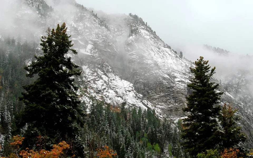 A misty mountain slope is covered in patches of snow, with evergreen trees in the foreground.