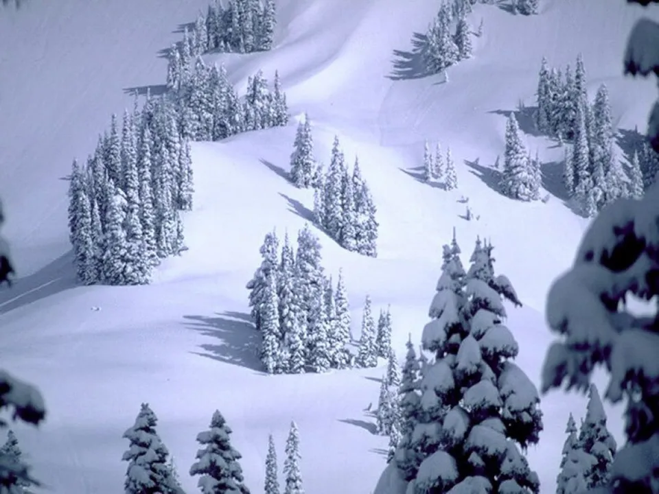 Snow-covered rolling hills and pine trees create a serene winter mountain landscape with shadows.