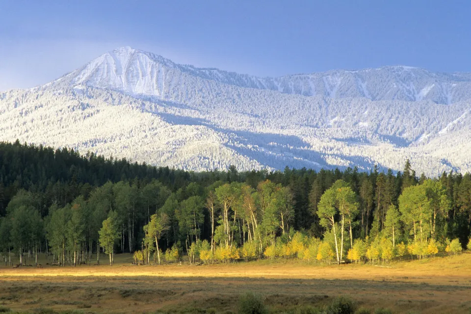 A snow-covered mountain peak looms over a forest with trees showing autumn colors.